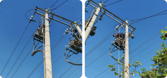 1754030493.png 5.png